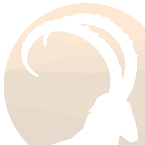 IBEX PR
